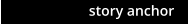 story anchor